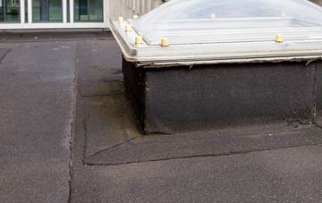 disadvantages of Bank Newton flat roofs