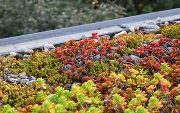 the cost of Bank Newton green roof installation