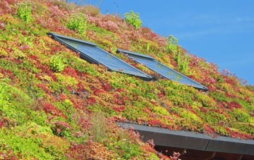 Bank Newton living roof systems