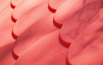 Bank Newton plastic roof costs